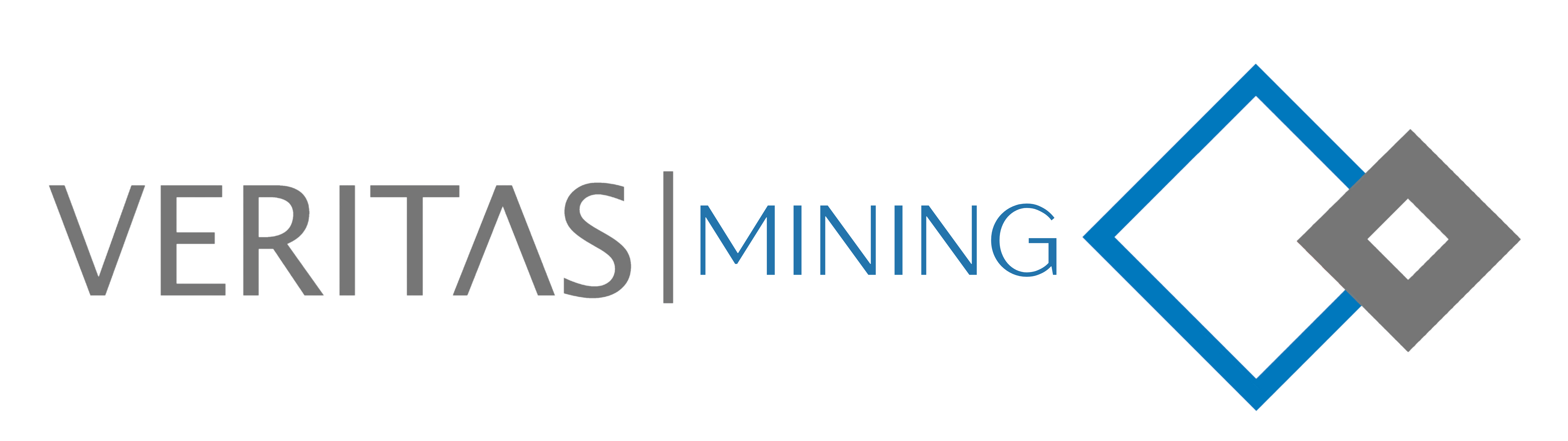 VM Logo